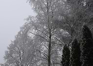 2021-04-06/1557e66329884239e113ad289f8c4390_b25ccca8fbc7d3d86e4152a8b32cca4a