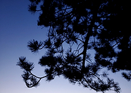 2021-04-06/5b81d5c2263b512c6bdcff618761c5e4_dc5414cbcb99253becdf1b6d4cd404e6