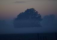 2021-04-06/ac3041301fc85c3bb15351fb6692713b_804aee28def0f6b721b0fe8f507f0081