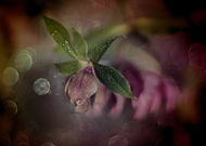 2021-04-08/3172adb0d57b928079d51a68699285d8_e64f95bc63ec33394c065354b99f8a54