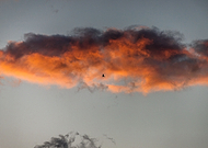 2021-04-12/9c6f102676d7c386736896580d7899ca_9c94ef48795fee06f3162f359f21915a