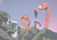 2021-04-14/29c3ea7c8f039d5c56bf51d2cce283c7_91e90a9d2efa4eba8e36f0a85471d961