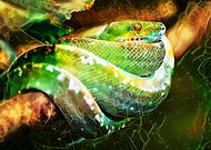 2021-04-18/86f995d0529e43afcbb2f57bbc27becf_655f4bcf3b7ec2363a475d140a39b8f5