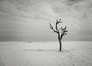 2021-04-19/f6f45e425f461c9bcc16ba28bbdbf74a_14276968e263738a7f9a97f9a72bc8e7