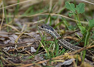 2021-04-28/68b28784f57e289e83076fc3c5562e6c_6a467e9dd2a4d69c8b108edb98a1b64a