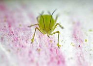 2021-05-04/4c11e81ae884b22a25b11a8b13a6cf35_689d6614998ef575c71d9e5a29aa7122