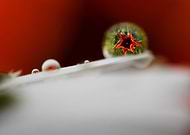 2021-05-04/a876f4d185a9dcb42b881dac7d3418a8_c5e39cc96889319042537e039cd1776d