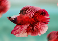 2021-05-05/3ab1251674de76445806a7276fe36460_bb8329e070f2d2031c0fdbd164413a53