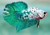 2021-05-05/79660a122f9b534638ed2caa2b1778d8_04eeb55dec18f4a458b8f6ea49dca4e9