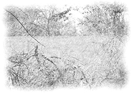 2021-05-07/144f6379f2b7c263caff5769df002dcf_dcc6feb3079c2de690861c91b6ab4126