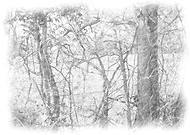 2021-05-07/5316a268be43d436a604a392f0e6f887_8bc80dd8eba76bd9b7fc04f05fa0b4f2