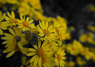 2021-05-11/a8e63c7067d7426c8d51b347d4b78e2e_2512e7a1a4ab351d4b6c5054e69fa8a1