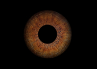 2021-05-14/cc17d8988fb824ec1a941c7cd0cda7eb_d7545b4dde445bf95a9c0a68ebd56aaa