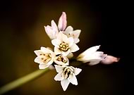 2021-05-17/29c3a52b74c3a5cdac7f992a4ac90208_a95c3b698d8fce91158012ef81b44ae8