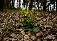 2021-05-18/598d172a63a59110ddfe3dd6d6ffbafc_5fd339994c2edcba4d5d30138b20adfe