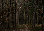 2021-05-18/623d918458eb59a1906672731175b32f_7b94999cc403b0dae9498333e6529127