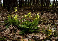 2021-05-18/ac0e43badc6e5b4e2e88293b8425a95b_4f1810efafc9a9e6bcb2a0340208a241