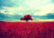 2021-05-18/edbb6321957e41d2aa2b22dac7cfc2f4_b1bab18200556a4e8d1779badf966781