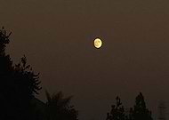 2021-05-19/74788df0de327bb4da27f036c5caaa56_2a366a2060d09cd7db2886d87e541805