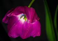 2021-05-24/a33718a865feee656e07d374b727bc5f_990fe04979439c91700e970af46aa715