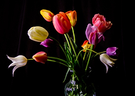 2021-05-24/d7db2ed0d8322fc841af9d7f6a8c5fe8_413db251ed4c1c811b6508ce8a881446