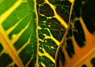 2021-05-26/bbe7ea9cb27f6c99f8c71991a8571b9c_03df0ed1a99eb58de3123712eb8e0b70