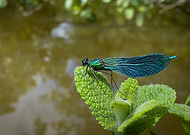 2021-06-04/e917af28370979f088d18a0779d8b89d_abe223bb97e23086257120f1fc8d87bc