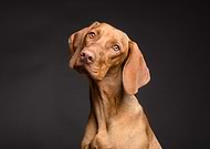 2021-06-10/7067bcf9d16ef086e9887a3e1db02da2_9f9900a59519ba945523a3f90d605ee8