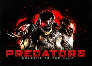 collection-preview-2