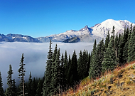 2021-06-12/75e208d078b118d1bda6e1cf81f4116d_bbca2352c58231ec2af398878af07bc3