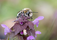 2021-06-17/6c9f1d51b5d5385c461c35075e6289da_b60b6e4e7d4244ea76c5bbc445584f54