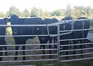 2021-06-19/cc59ff2ddb71d68cf9122c054f57df48_82c7a169eeb302b4673feec6d1abeddb