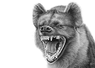 2021-06-20/542fddd1054386357f1d034b7d3b7fcc_5608aba9ca2e1db4301dbec182b5f6d0