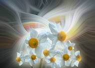 2021-06-20/a608f2bcbf46191e46e92912ec1078a4_3a11dd858720bc874dc21703978d6512