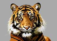 2021-06-21/352ce0774ab2ff38247bd81b89354273_f914da7701fbaf938ddba5cc9bc1fd04