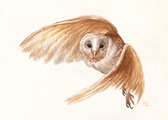 2021-06-24/a499f6d9f203398edb1451dddc850492_933f92aa2bed6b0e0f6bffa508c6a771