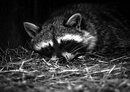 2021-06-26/06d8c16abcfc78b4829fe76521419ae7_783c1c89fa3ee7523d9d0d6b01a18371