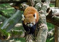 2021-06-26/1283209becdce7bfb2245217ad8d65f2_02227fec28e966234766c0d54618f693