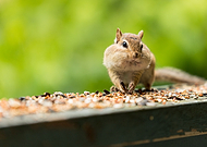 2021-07-02/109e078611b416da0421a4f758779b31_60a5e68e321de8f9d88466ea95396fb5