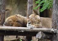 2021-07-04/4234535e5ab036bf612a0ff962d5680e_c21d4e1843b29cb64b3608590b0bb1c7