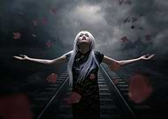 collection-preview-3