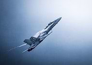 collection-preview-3