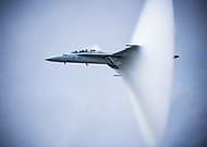 collection-preview-2