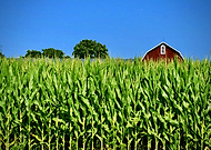 2021-07-28/e27a74fde3fe4e923a594bd9739ab092_d35d34e1c295fd6b9e1d4195b2d9cc7d