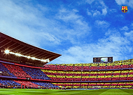 collection-preview-3