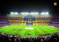 collection-preview-2