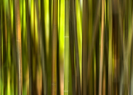 2021-08-05/47e1f5aa1199411c104e256e320e47cd_13e62f7aae4508223caed59472926156