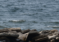 2021-08-09/74b9487994ca13437d51991ad7c88a5a_427f0c74b6a55b743c8e11c0fd5d27e4