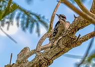 2021-08-09/a860686aa82040d90cbbd36e4158ba75_641e43fcc6d6a3bea7da52c1b07f061f