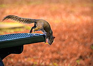 2021-08-09/faae9388a467e33d0c7a9965484fb6bb_79472702ea6bb33715c9789712582f48